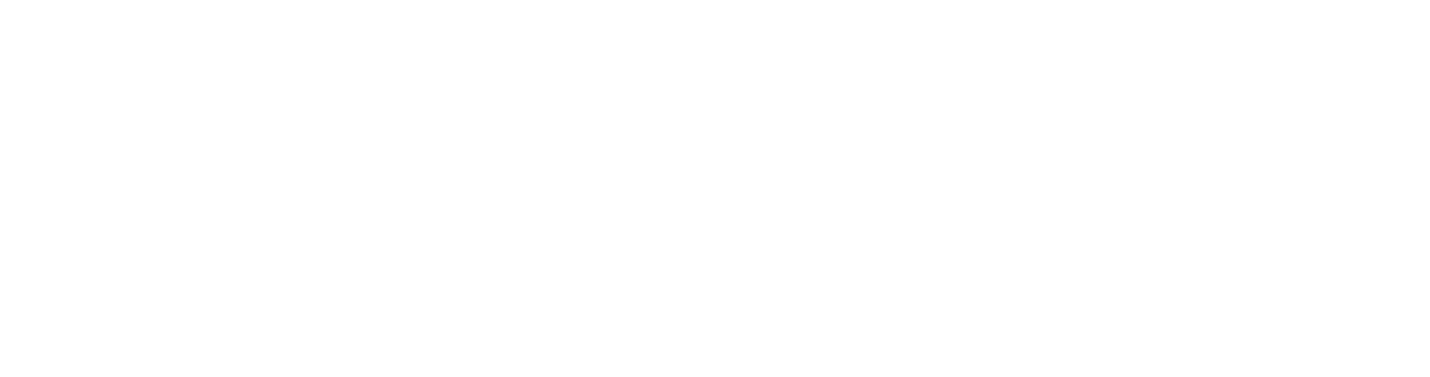 2nd Annual Showcase Indian Ocean Summit Logo